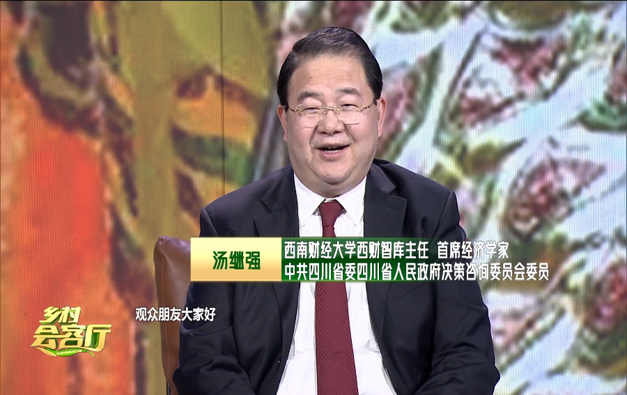 西财智库主任汤继强谈春节经济和都江堰全域景区化